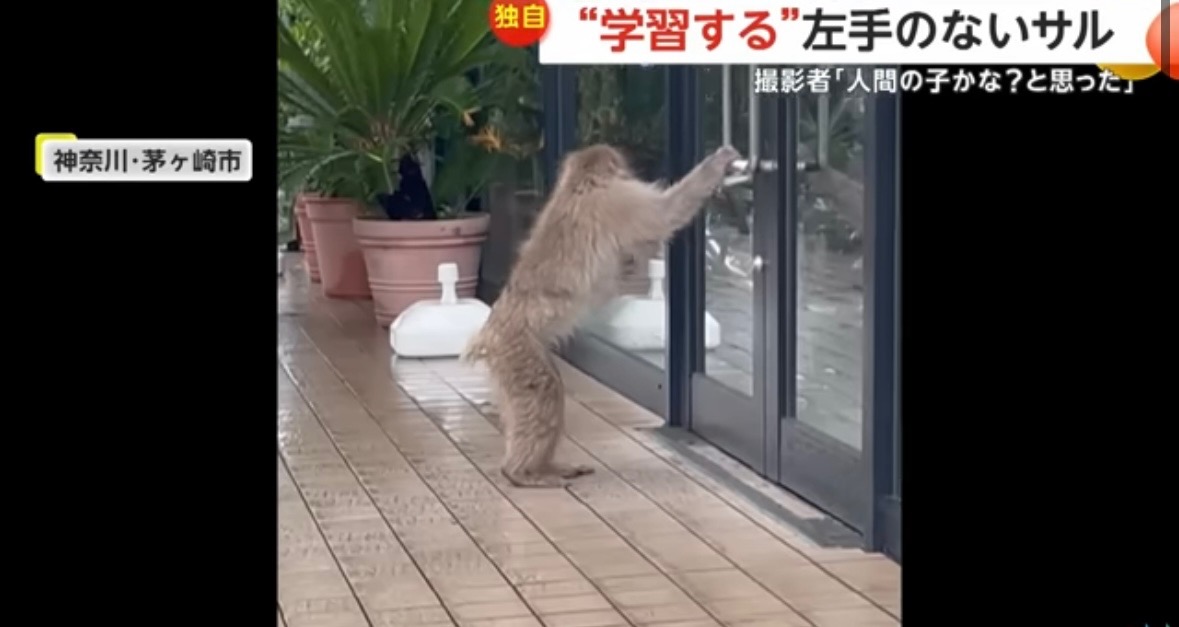 記事イメージ