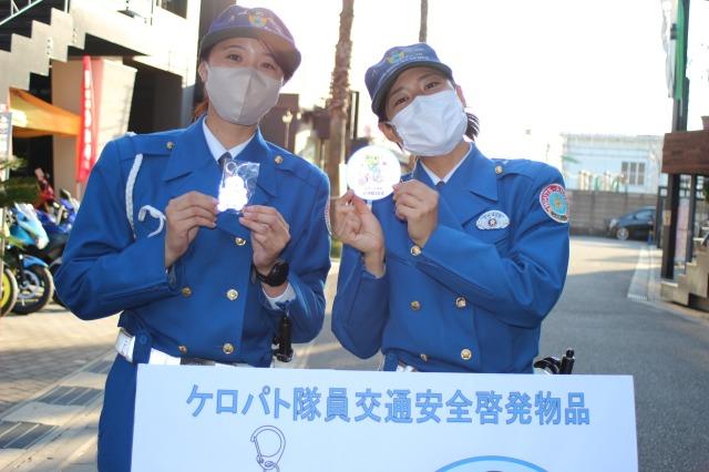 この画像はサムネイル