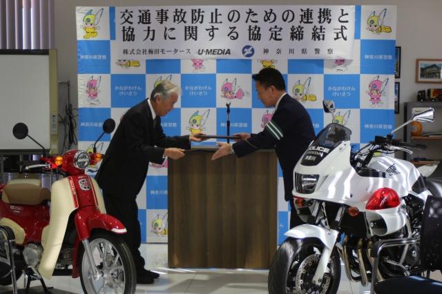 この画像はサムネイル