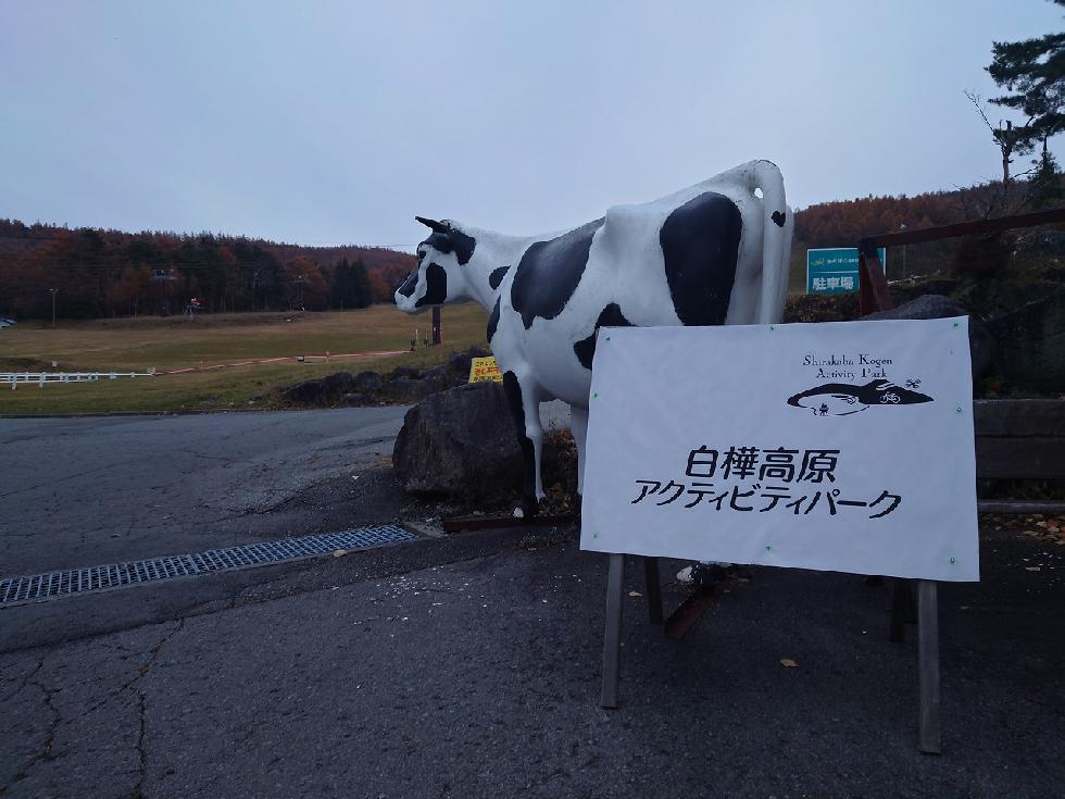 この画像はサムネイル